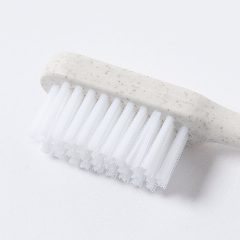 Escova Dentes - Duncan – foto 5