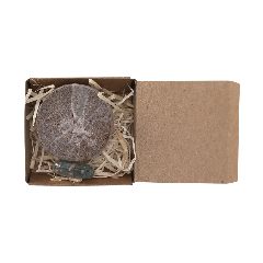 Pack Plantável - Aquael – foto 4