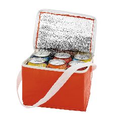Bolsa Refrigeradora - Coolcan – foto 3